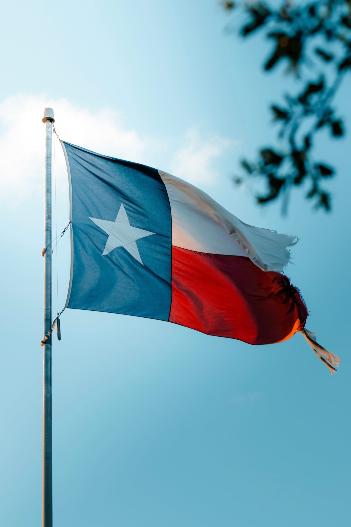 Voyage Knicks Nation France X Gate-One Voyages au Texas!